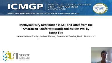 Methylmercury Distribution in Soil and Litter from the Amazonian Rainforest (Brazil) and its Removal by Forest Fire